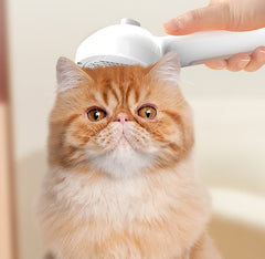 Pet Steam Comb-Sale✨