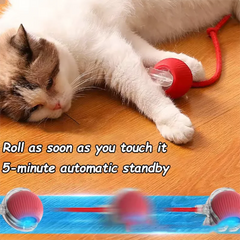 Rolling Ball Dog Toy-Sale✨