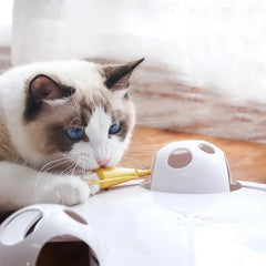 Interactive Mouse Pounce Cat Toy